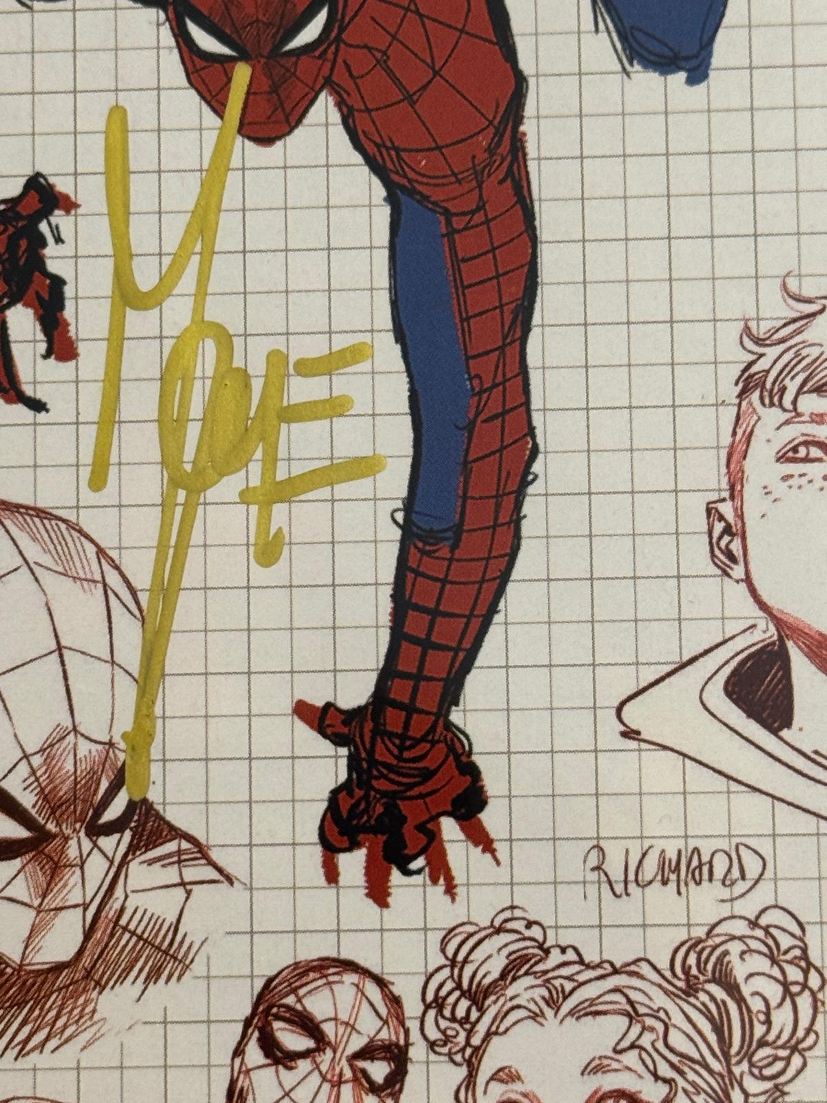 Marco Checchetto - Ultimate Spiderman variant edition 1/10 Signed