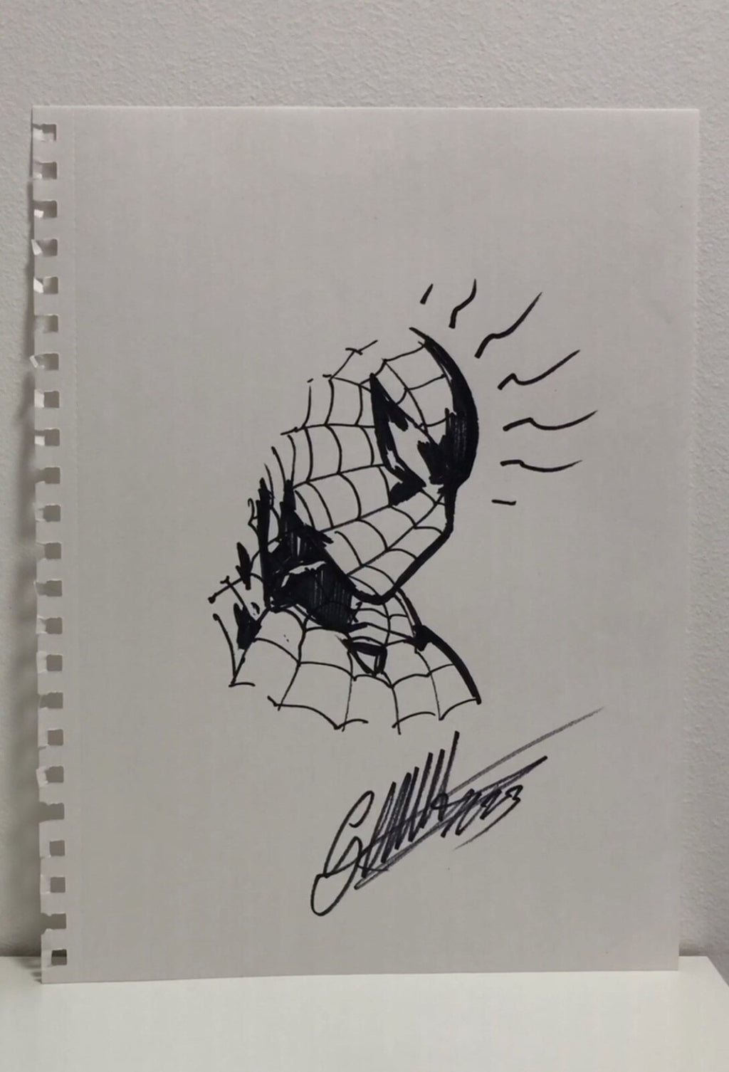 Gabriele Dell'Otto - Spider-man #12 VARIANT SIGNED SKETCHED /300, Original Art