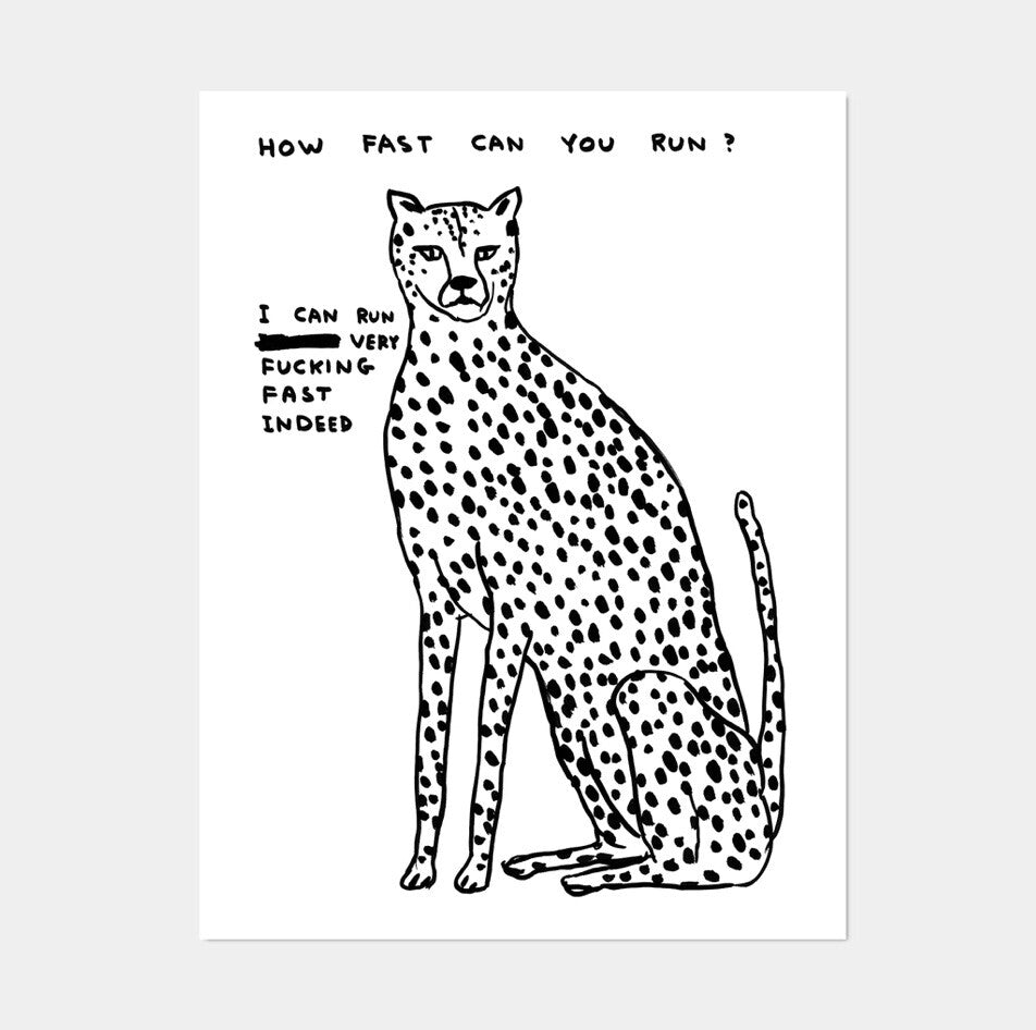 David shrigley - Print 2020 /250 Set di 8 POSTER