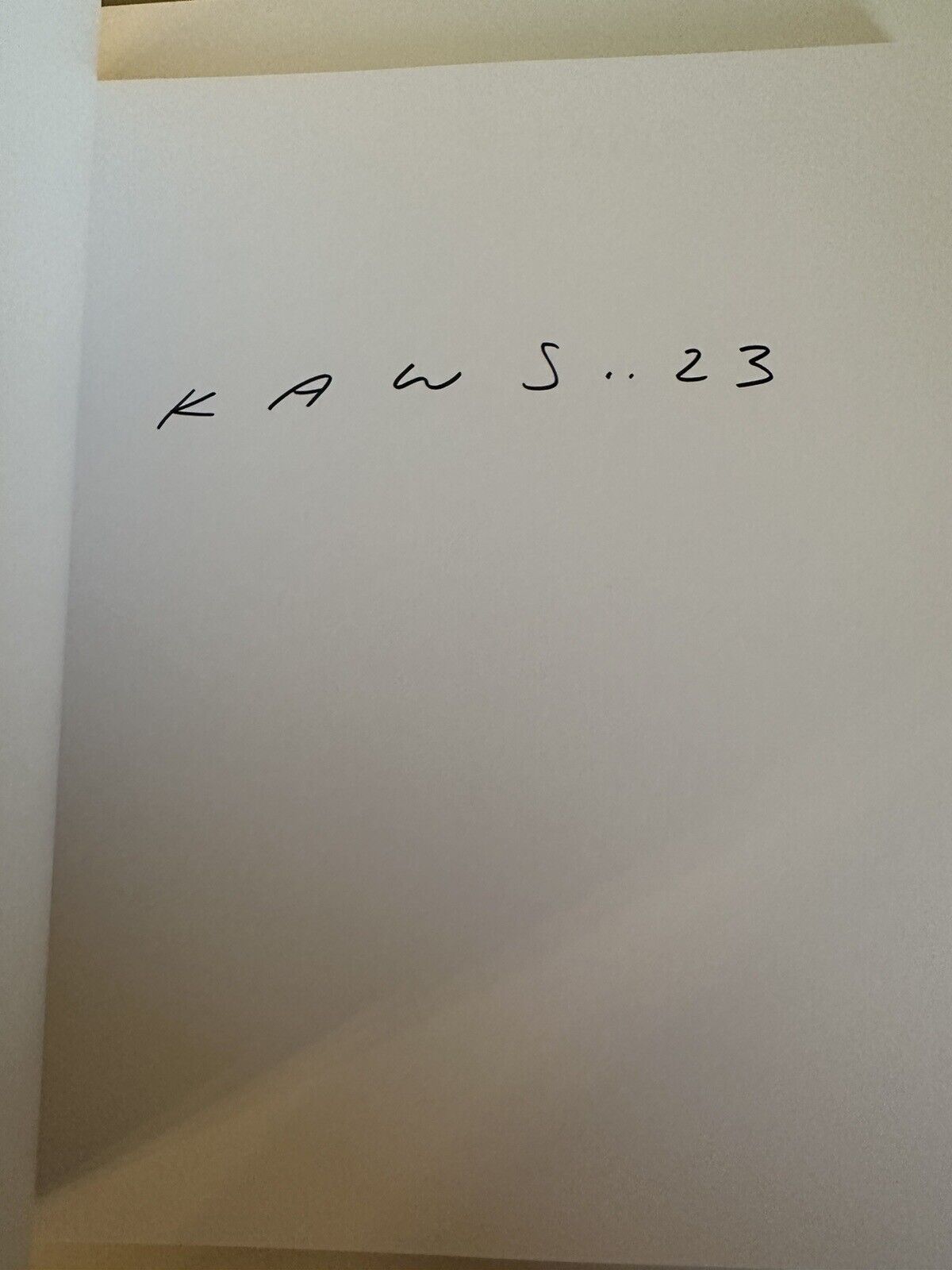 Kaws - Book Signed  Phaiidon x Uniqlo Edizione Limitata